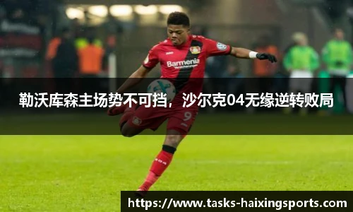 勒沃库森主场势不可挡,沙尔克04无缘逆转败局
